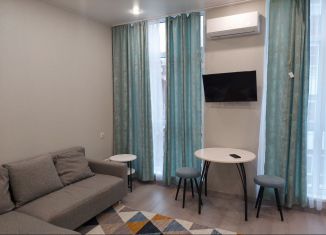 Продается квартира студия, 24 м2, Сочи, улица Тимирязева, 46/1, микрорайон Донская