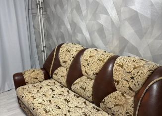 Двухкомнатная квартира на продажу, 24 м2, Зеленодольск, Паратская улица, 4/2