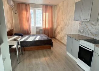 Сдаю в аренду квартиру студию, 26 м2, Республика Башкортостан, улица Бориса Перина, 6