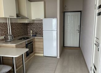 Сдаю в аренду 1-ком. квартиру, 30 м2, Сочи, Звёздная улица, 37/2, микрорайон Совхоз Приморский