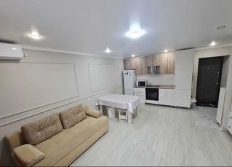 3-ком. квартира в аренду, 56.4 м2, Краснодар, Ставропольская улица, 107/8