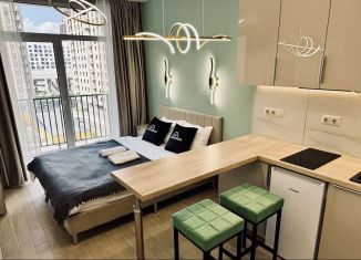 Сдаю квартиру студию, 20 м2, Москва, Берёзовая аллея, 19к2, СВАО