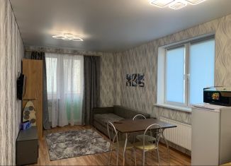 Аренда квартиры студии, 29 м2, поселок городского типа Афипский, улица 50 лет Октября, 44