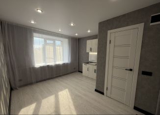 Продам квартиру студию, 13.3 м2, Нижний Новгород, Автозаводский район, улица Юлиуса Фучика, 3