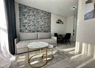 Продажа квартиры студии, 28 м2, Ростов-на-Дону, ЖК Пятый Элемент, улица Ерёменко, 114/1с1