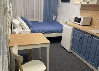 Сдается квартира студия, 25 м2, Санкт-Петербург, 16-я линия Васильевского острова, 47