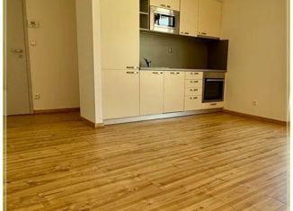 Квартира на продажу студия, 22 м2, Санкт-Петербург, Пушкинская улица, 5, муниципальный округ Владимирский