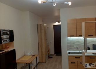 Квартира на продажу студия, 24 м2, Ростов-на-Дону, Пролетарский район, улица Черевичкина, 91Ас1