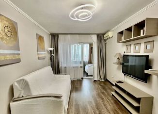 Сдается 1-комнатная квартира, 50 м2, Сочи, улица Дмитриевой, 36, микрорайон Светлана