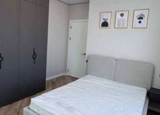 Сдается 1-комнатная квартира, 42.7 м2, посёлок Парголово, улица Фёдора Абрамова, 4