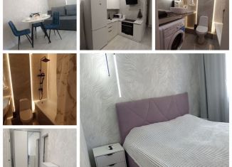 Сдается в аренду 1-комнатная квартира, 34.6 м2, Краснодар, Российская улица, 267к4, Музыкальный микрорайон