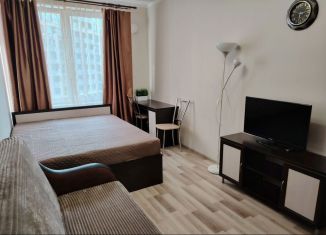 Сдаю в аренду 1-ком. квартиру, 37 м2, Санкт-Петербург, проспект Просвещения, 15, метро Проспект Просвещения