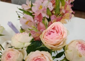 2-ком. квартира на продажу, 33.3 м2, Тольятти, улица Мира, 137