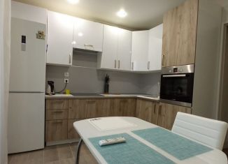 Сдается в аренду 2-комнатная квартира, 56 м2, посёлок Парголово, Приозерское шоссе, 14к3