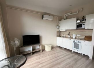 Продается квартира студия, 28 м2, Сочи, Полтавская улица, 30Б, микрорайон Мамайка