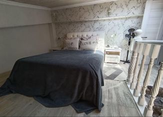 Сдам в аренду 1-ком. квартиру, 33.2 м2, Сириус, улица Южных Культур, 10А