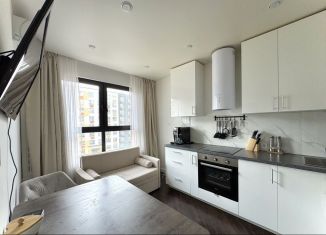 Продаю 1-комнатную квартиру, 31.6 м2, деревня Глухово, Романовская улица, 5