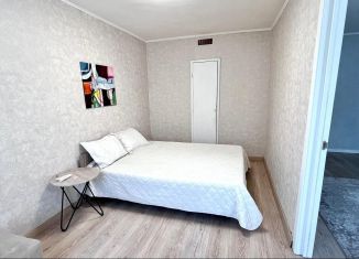 Аренда 2-комнатной квартиры, 44 м2, Санкт-Петербург, Новочеркасский проспект