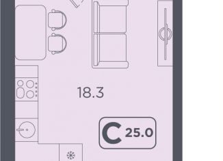 Продается квартира студия, 25 м2, Тюмень, улица 50 лет Октября, 75к4