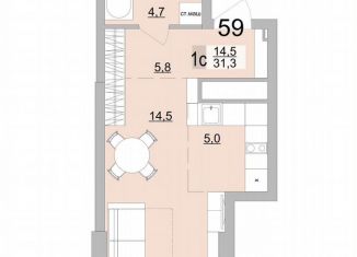 Продается квартира студия, 31.3 м2, Екатеринбург, Верх-Исетский район, Черкасская улица, 5к3