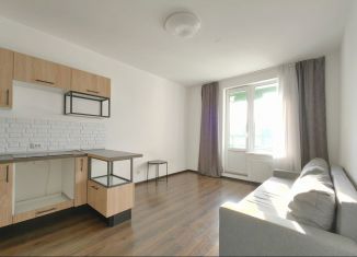 Продажа квартиры студии, 23.7 м2, Мурино, улица Шувалова, ЖК Гринландия-2