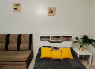 Сдам 1-ком. квартиру, 35 м2, Челябинская область, улица Богдана Хмельницкого, 76