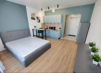 Квартира в аренду студия, 24 м2, Москва, Ижорская улица, 6к1, САО