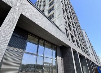 Помещение свободного назначения в аренду, 53 м2, Санкт-Петербург, Планерная улица, 99
