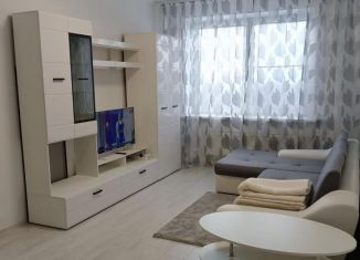 Сдам 1-комнатную квартиру, 43 м2, Санкт-Петербург, проспект Непокорённых, 49к2