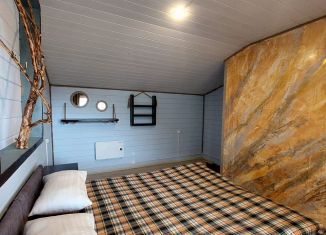 Сдается в аренду дом, 24 м2, Республика Алтай