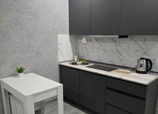Аренда квартиры студии, 25 м2, Сочи, улица Искры, 88