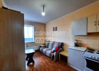 Продается квартира студия, 20.4 м2, Новосибирск, Первомайская улица, 230, метро Речной вокзал