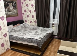 Сдача в аренду 3-ком. квартиры, 65 м2, Новосибирская область, посёлок Восточный, 10А