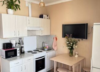 Продаю квартиру студию, 25.6 м2, Санкт-Петербург, проспект Королёва, 69, муниципальный округ Коломяги