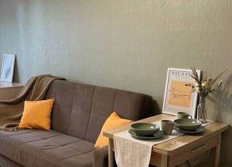 Сдаю в аренду квартиру студию, 26.9 м2, Санкт-Петербург, Варшавская улица, 6к1