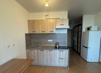 Продаю квартиру студию, 27.5 м2, Екатеринбург, микрорайон Светлый, 4