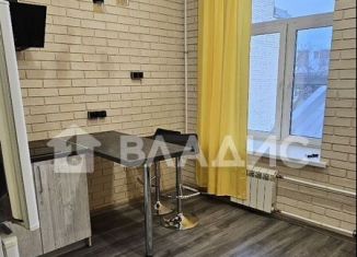 Продажа квартиры студии, 22.9 м2, Санкт-Петербург, улица Рубинштейна, 24, муниципальный округ Владимирский
