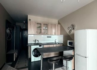 Продаю квартиру студию, 25.1 м2, посёлок Шушары, Новгородский проспект, 4, ЖК Знание