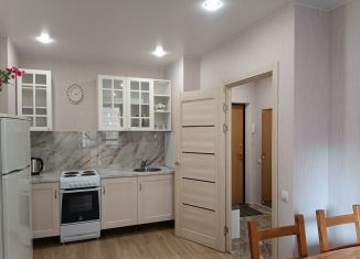 Сдаю однокомнатную квартиру, 38.2 м2, посёлок Парголово, улица Фёдора Абрамова, 8