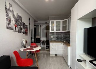 Продам квартиру студию, 18 м2, Санкт-Петербург, муниципальный округ Озеро Долгое, улица Уточкина, 6к1