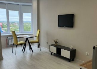 Продается квартира студия, 27 м2, Абакан, улица Генерала Тихонова, 8