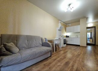 Сдаю в аренду 1-комнатную квартиру, 47 м2, Ленинградская область, улица Иоанна Кронштадтского, 9