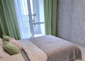 Сдам в аренду 1-ком. квартиру, 45 м2, Екатеринбург, метро Ботаническая, Хуторская улица, 1/4