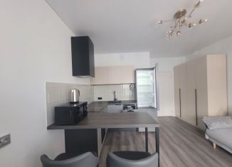 Сдаю в аренду квартиру студию, 24.7 м2, Санкт-Петербург, метро Проспект Ветеранов