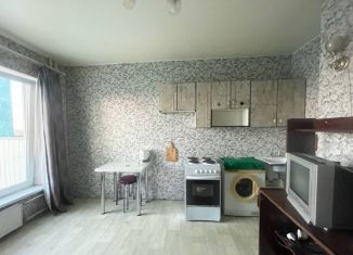 Продаю однокомнатную квартиру, 33.1 м2, посёлок Шушары, Московское шоссе, 284