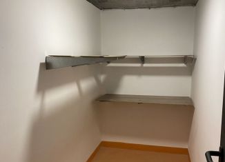 Сдам в аренду гараж, 10 м2, Москва, ЮЗАО, Варшавское шоссе, 282к1