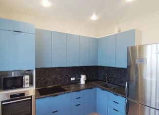 Аренда 2-комнатной квартиры, 59 м2, Новосибирская область, улица Немировича-Данченко, 144/1