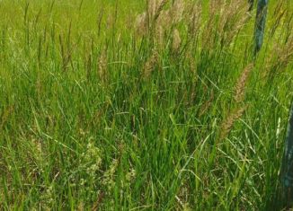 Продается участок, 1158 сот., Елабуга