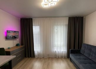 Продается квартира студия, 25.5 м2, деревня Новое Девяткино, ЖК Заречный Парк, Главная улица, 10