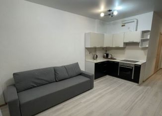 Аренда квартиры студии, 28 м2, Екатеринбург, метро Ботаническая, микрорайон Светлый, 4